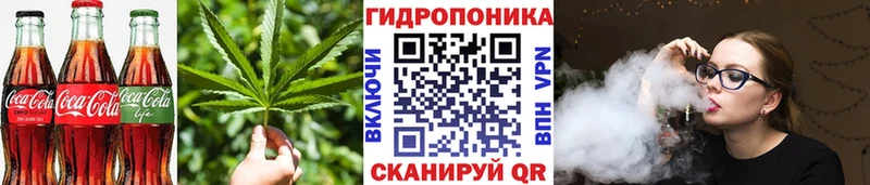 kraken рабочий сайт  Жуков  Печенье с ТГК марихуана 