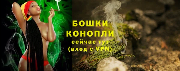 МДПВ Горняк