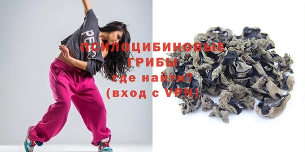 мдпв Нея
