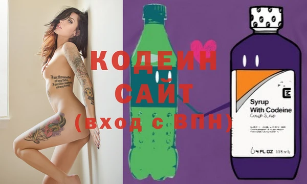 мдпв Елизово