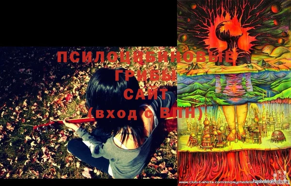 МДПВ Горняк