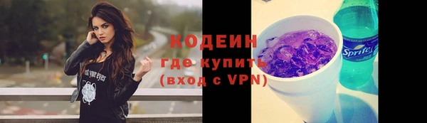 ешки Гусь-Хрустальный