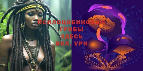 индика Каменск-Шахтинский