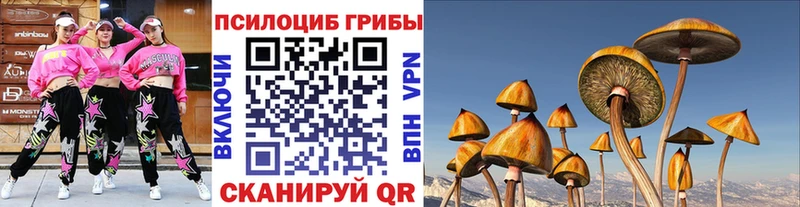 Псилоцибиновые грибы GOLDEN TEACHER  Жуков 